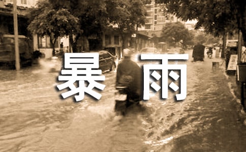 茑L(fng)ľ2ƪ