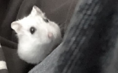 ^}