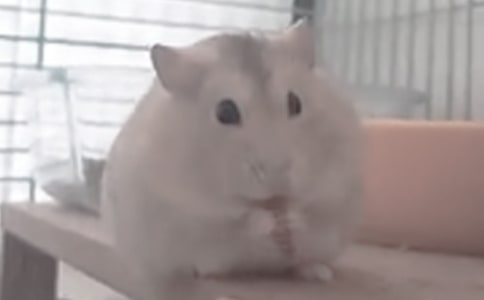 }^ӛ