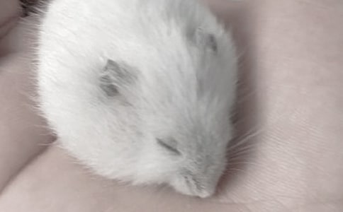 ɐ(i)Ă}(cng)СW(xu)