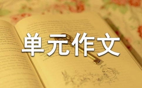 꼉(j)(c)ԪҲ׷