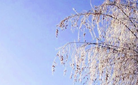 һѩľ530