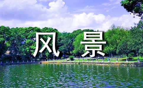 ɾL(fng)СW(xu)ģx6ƪ