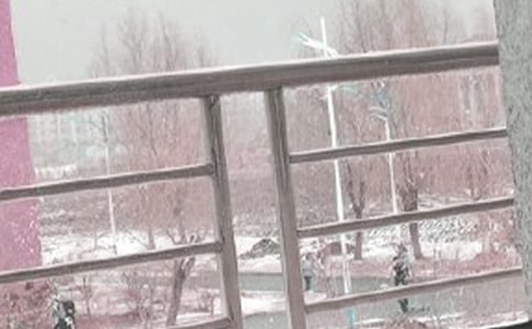 ηLѩ