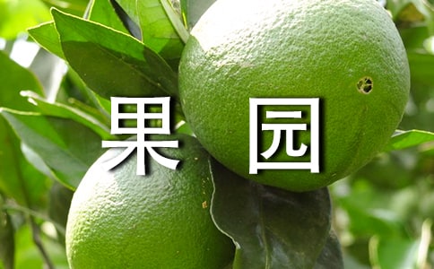 @(yu)