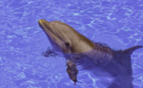 ɐ(i)ĺ