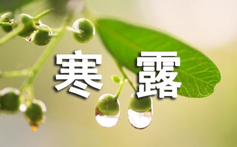 茑¶Ψ