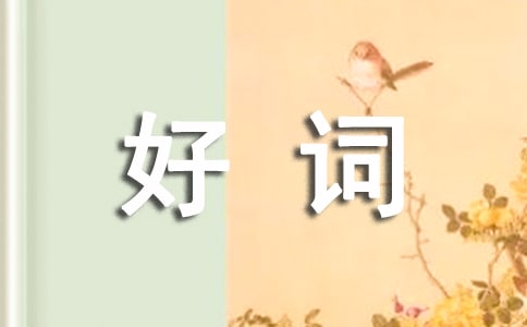 茑Fĺ~þö