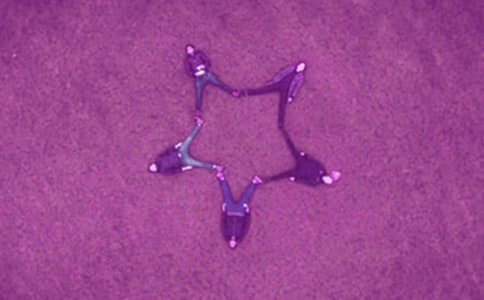 ҵĺу(yu)