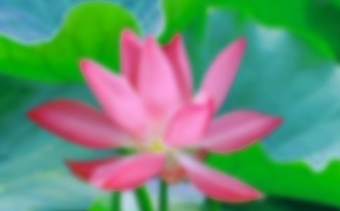 ɻ(yu)