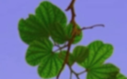 (gu)C˼?yn)R