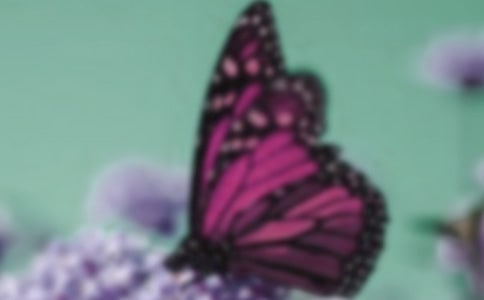 (yu)