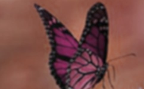 ݺľ26l