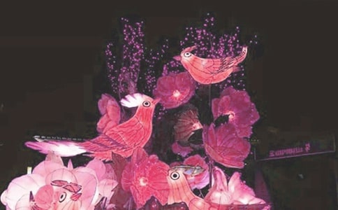 ƯĻ(5ƪ)