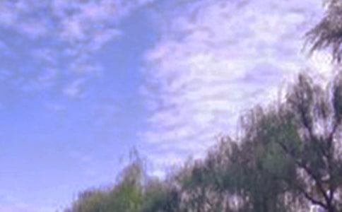 ļɫ