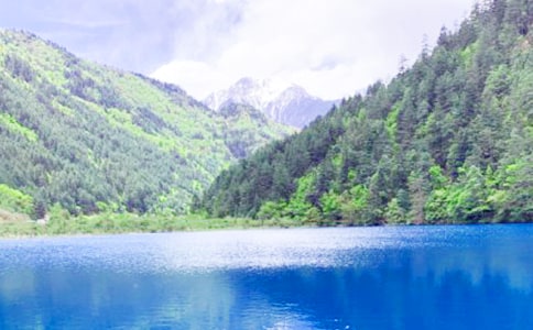 yľկ