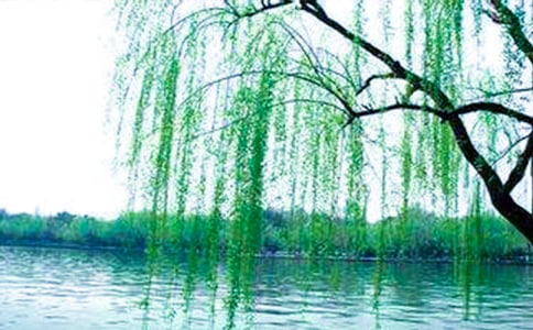 茑ӛ