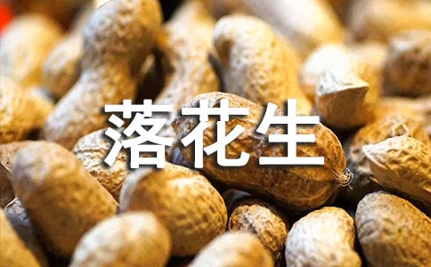 仨ӛ