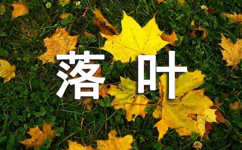 2023꾫x~ľ11