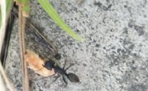 Λρڄڵľӣͨ120䣩