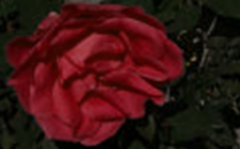 ϲgõ廨15ƪ