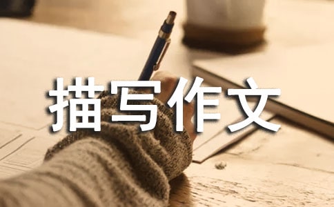 茑Č