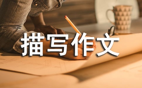 茑ąR10ƪ