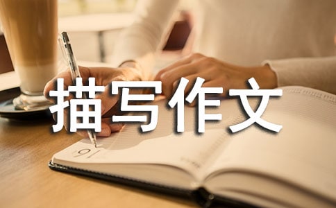 Pڳ茑ĺϼ7ƪ
