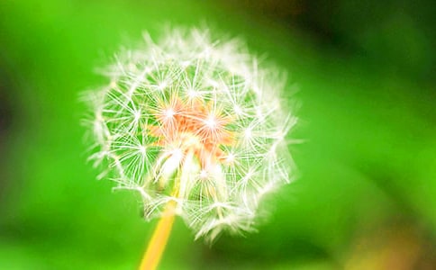 ѹӢļs(15ƪ)