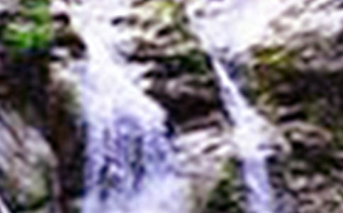 茑ٲľӅR15ƪ
