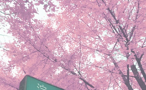 СW(xu)＾W(xu)(du)Ӌ(j)ͨ12ƪ