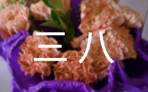 ȫ˼t켯wEϱ؂(15ƪ)