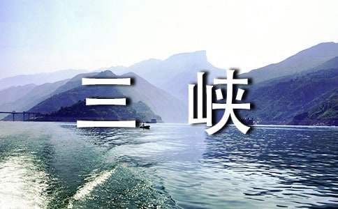 {11ƪ