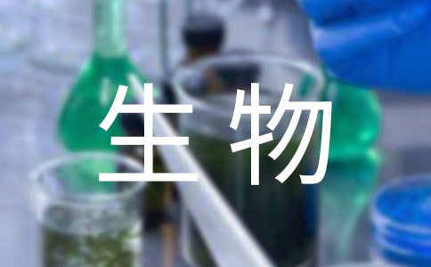 ﹤̌I(y)(sh)`(bo)棨x8ƪ