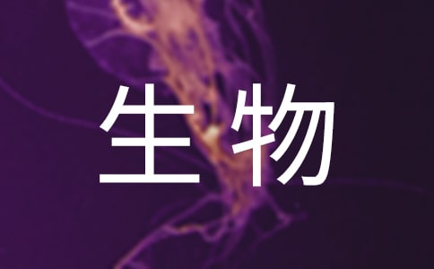 (x)}vu(png)nķоY(ji)}(bo)