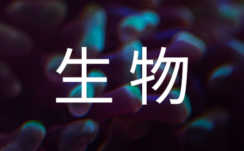 (hu)̰8ƪ