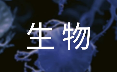 꼉(j)̌W(xu)Ӌ(j)