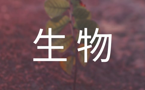 꼉̰ȫ