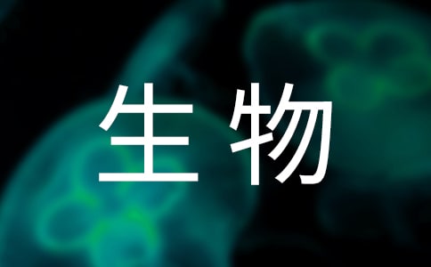 ̰O(sh)ӋQ