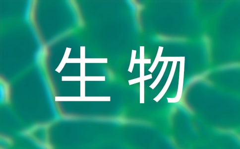 Ƽ(zhn)