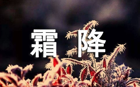 ˪옷ף