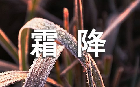 茑˪Ψ730