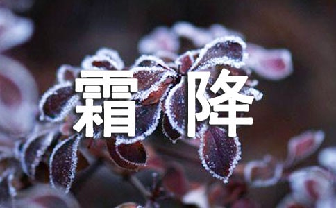 ˪