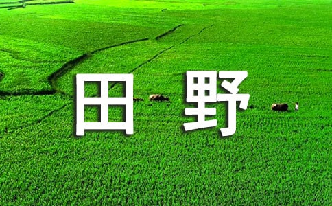 Ұ(\15ƪ)