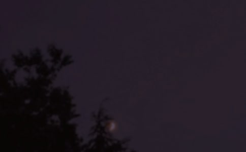 2023ꌍõĜůZZ䛺ϼ31