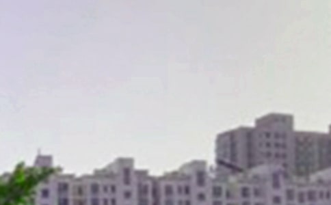 P(gun)簲ӣͨ40䣩