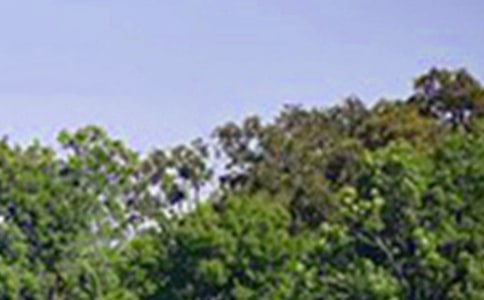 ܰ簲Z䛣x30䣩