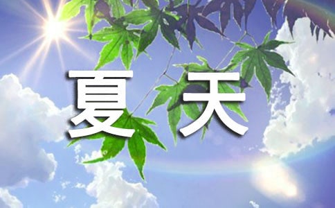 茑ĺþö250