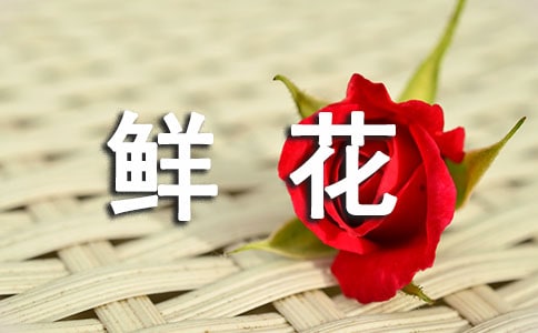 _Mr·(yu)ģͨ5ƪ