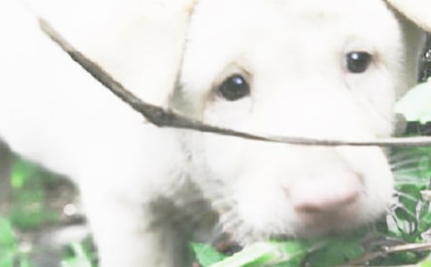 С(yu)14ƪ]